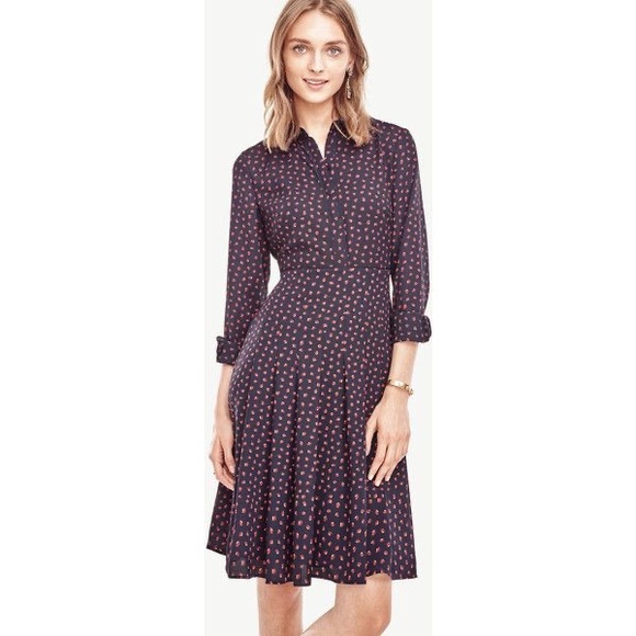 Ann Taylor Long Sleeve Dress 